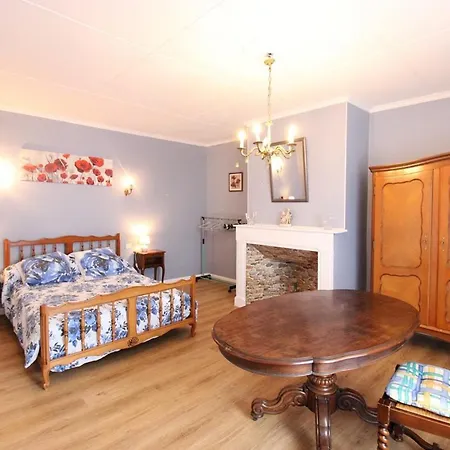 Avec Jardin, 6 Pers, Proche Aurillac, Nature Et Randonnees, Animaux Acceptes - Fr-1-742-18 * Roannes-Saint-Mary
